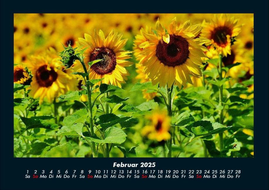 additionalImage6