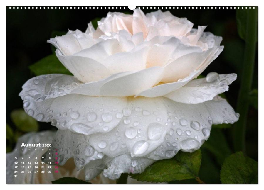 additionalImage13