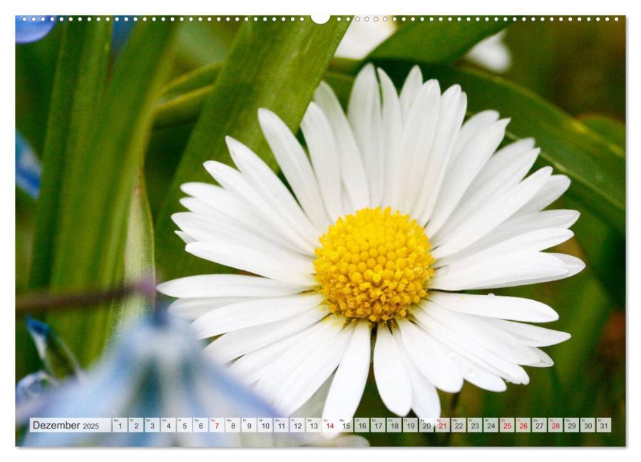 additionalImage4