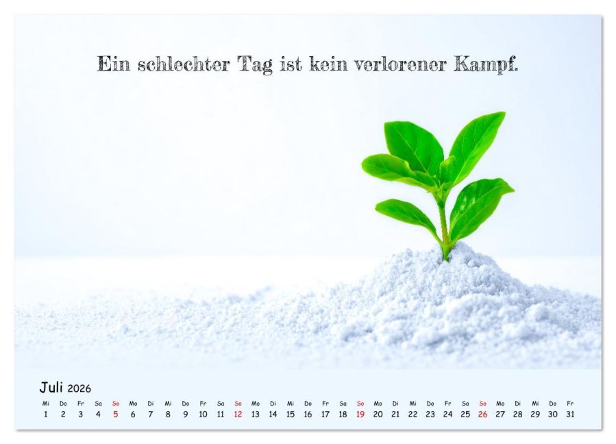 additionalImage12