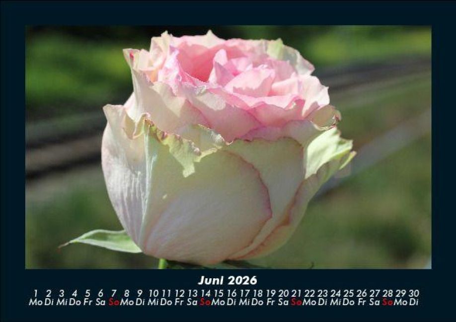 additionalImage10