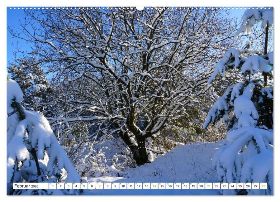 additionalImage6