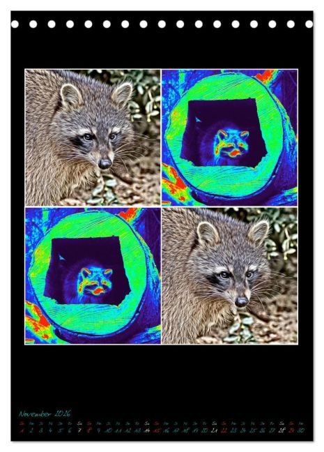 additionalImage3