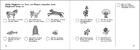 additionalImage10