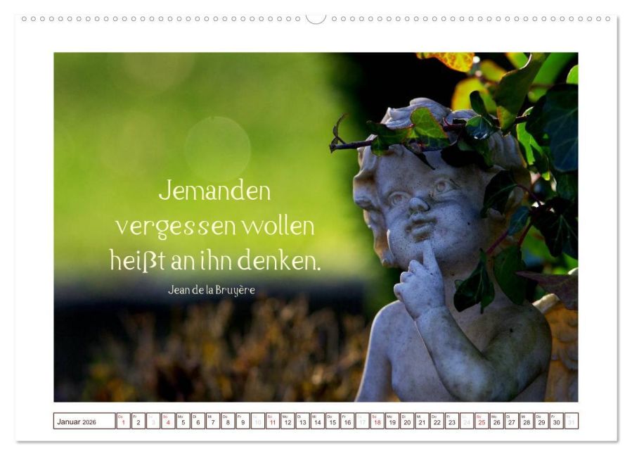 additionalImage5