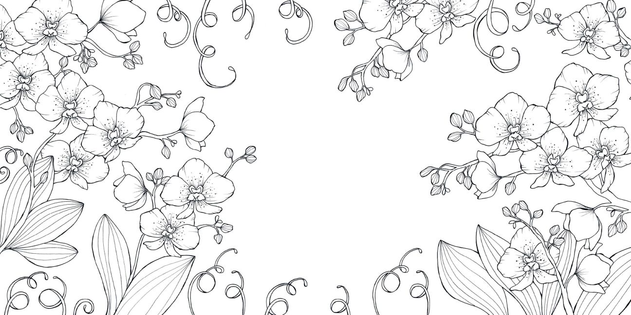 additionalImage5