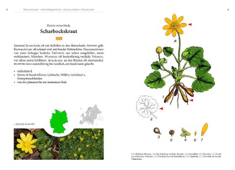 additionalImage2