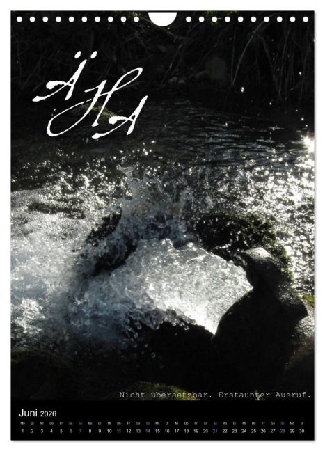 additionalImage11