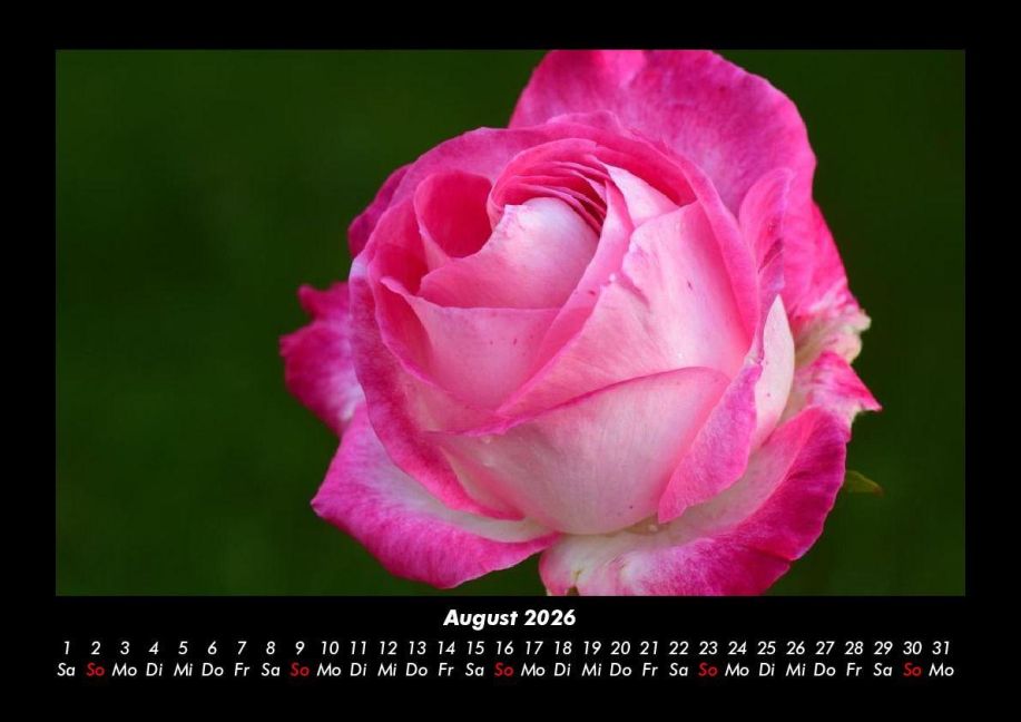 additionalImage12