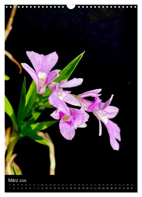 additionalImage8
