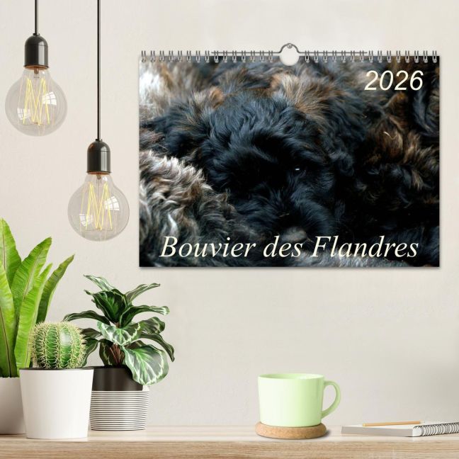 additionalImage1