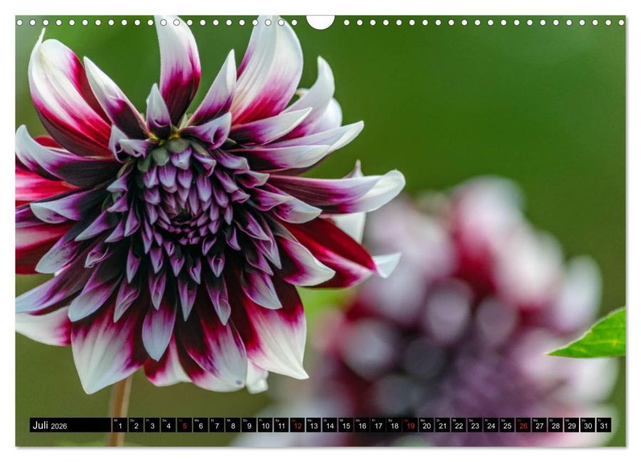 additionalImage12