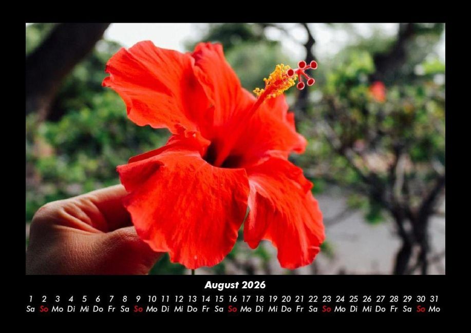 additionalImage12