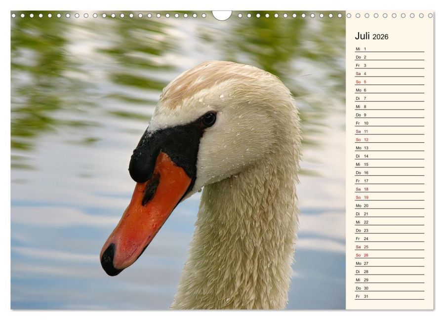additionalImage12