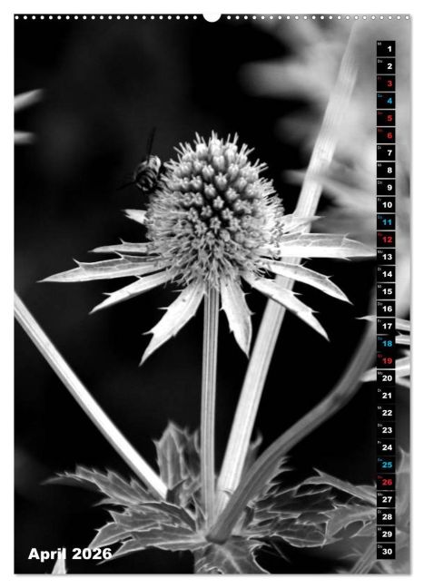 additionalImage9