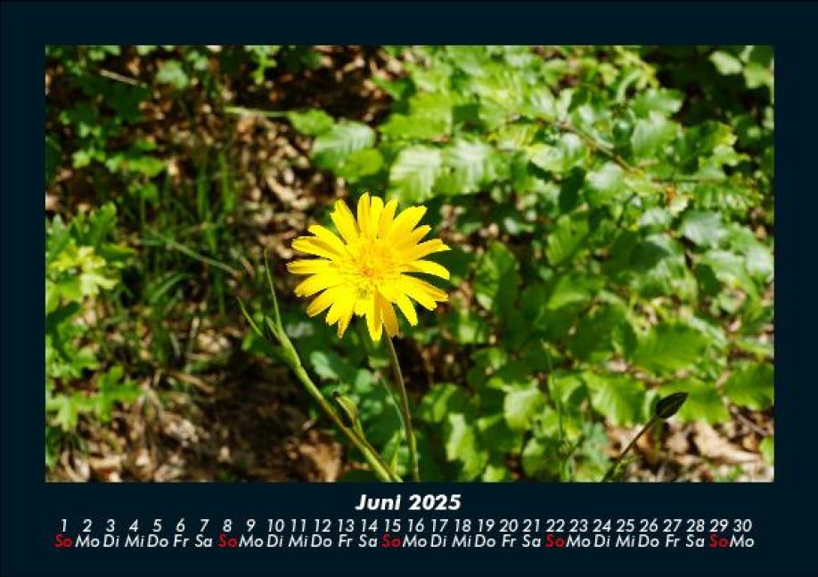 additionalImage10