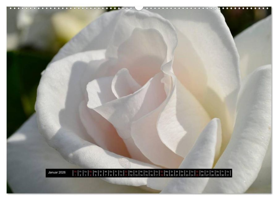 additionalImage6