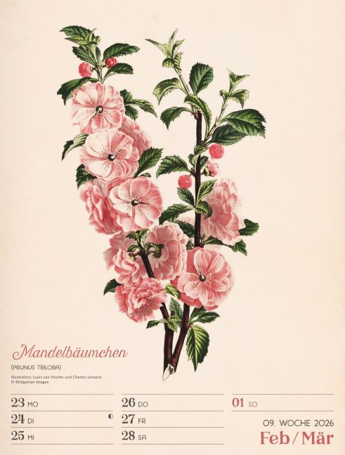 additionalImage12