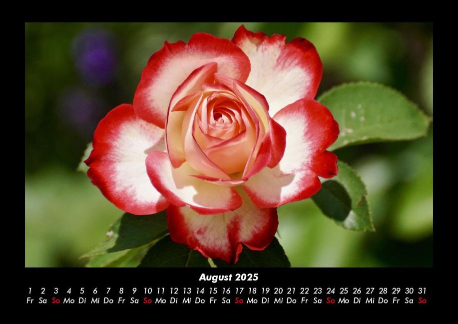 additionalImage12