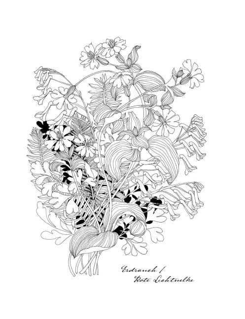additionalImage6