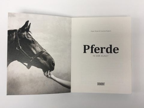 additionalImage1