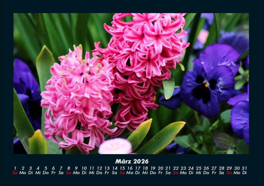 additionalImage7