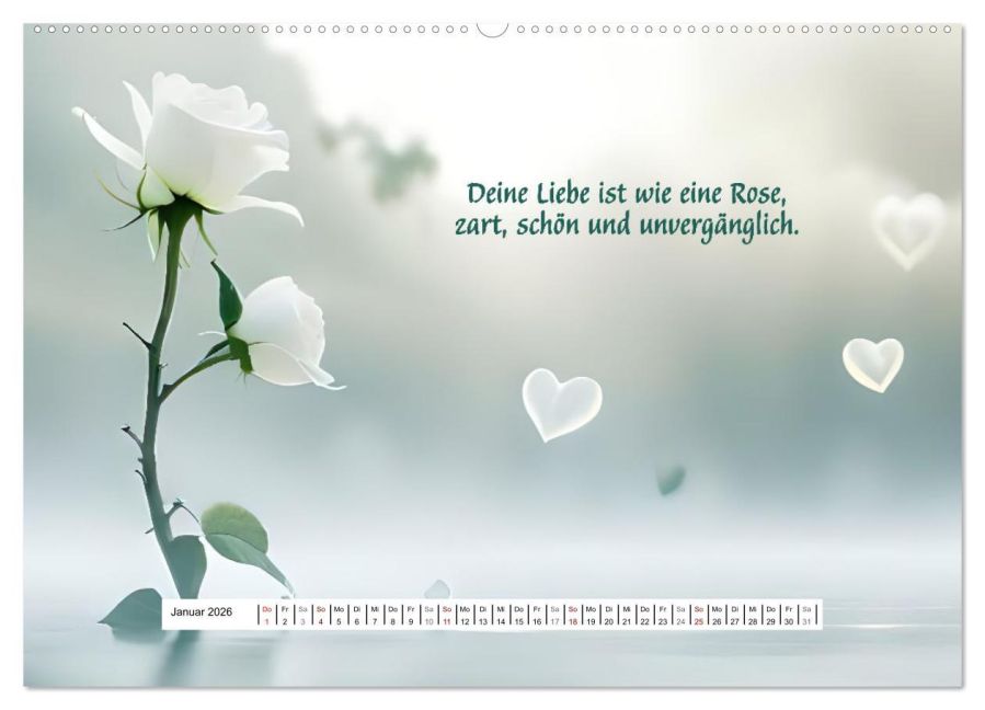 additionalImage5