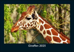 Cover-Bild zum Titel 'Giraffen 2025 Fotokalender DIN A5' von 'Tobias Becker'