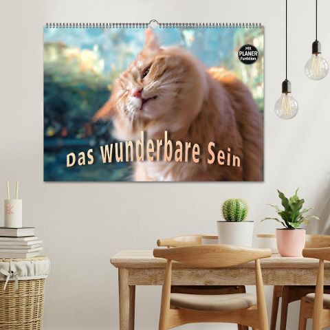 additionalImage1