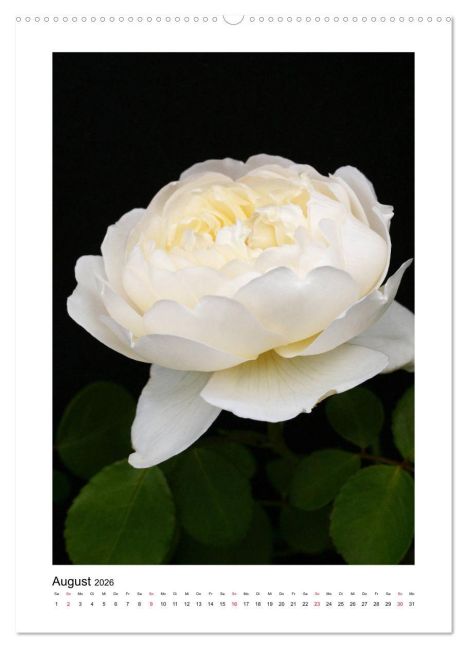 additionalImage13
