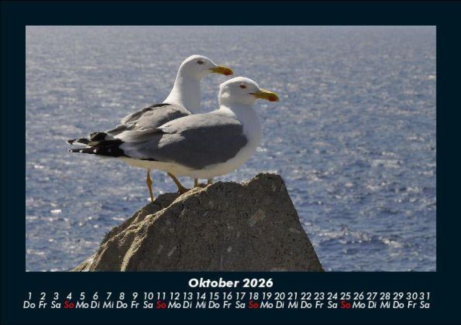 additionalImage2