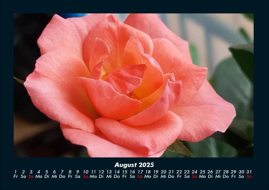 additionalImage12