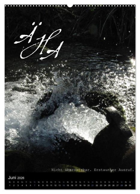 additionalImage11