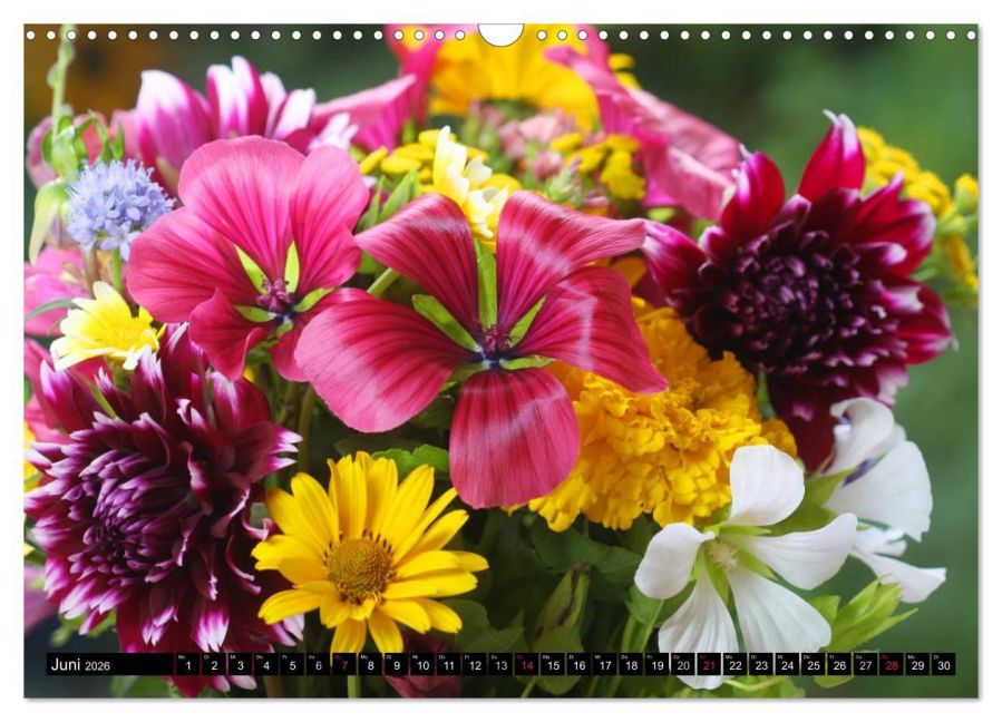 additionalImage11