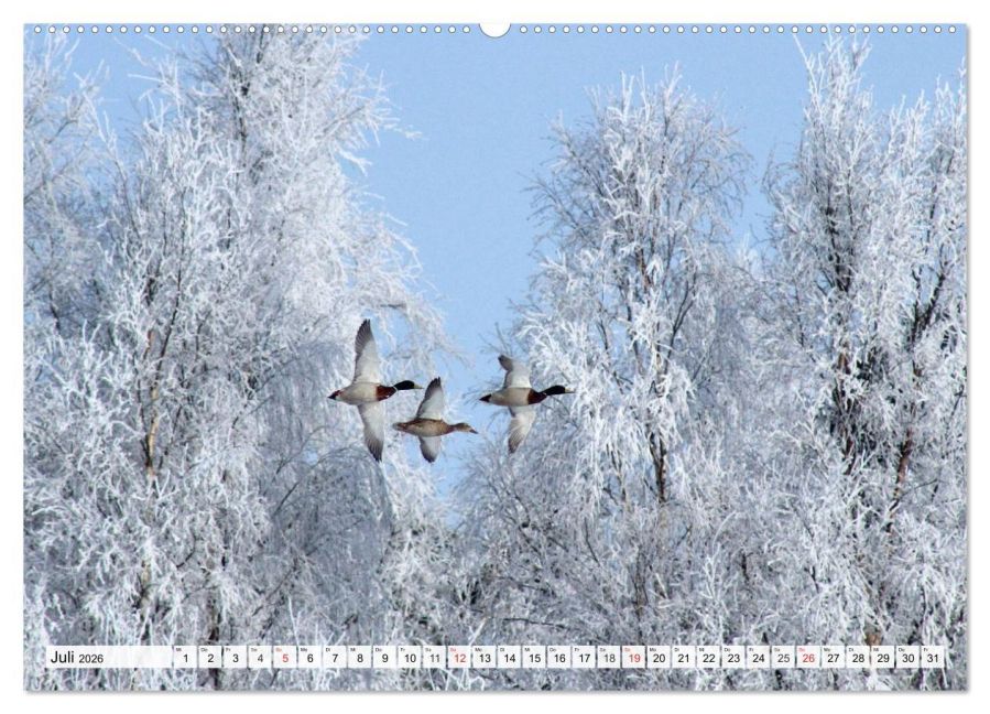 additionalImage12