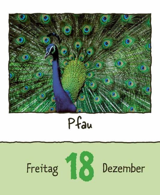 additionalImage16