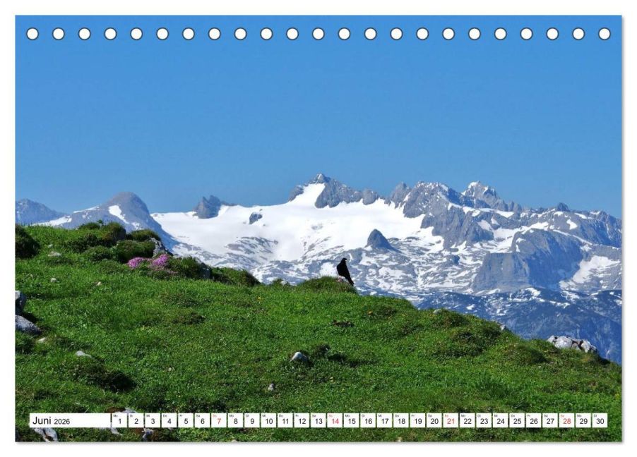 additionalImage11