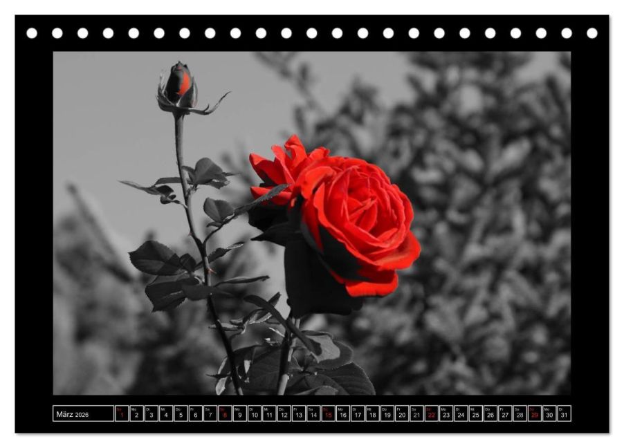 additionalImage8