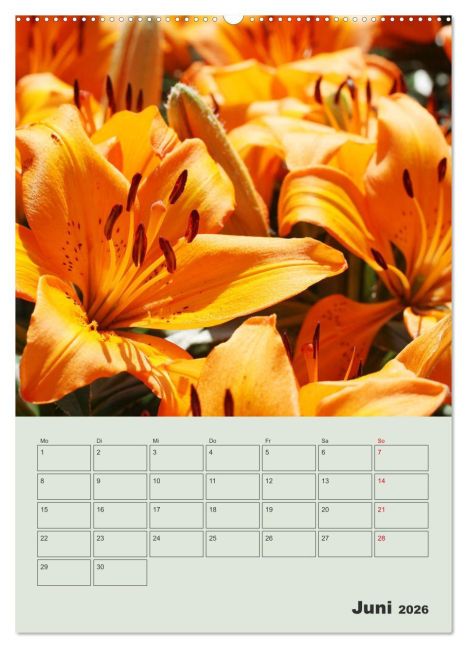 additionalImage11