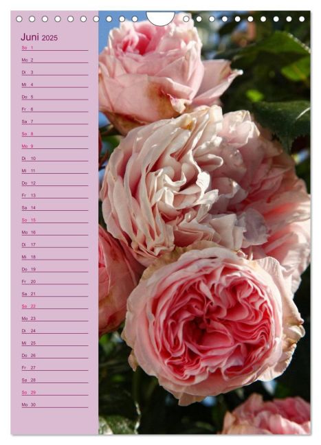 additionalImage11