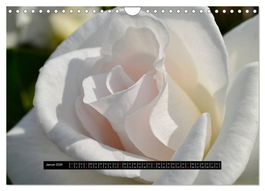 additionalImage6