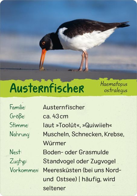 additionalImage1