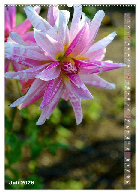 additionalImage12