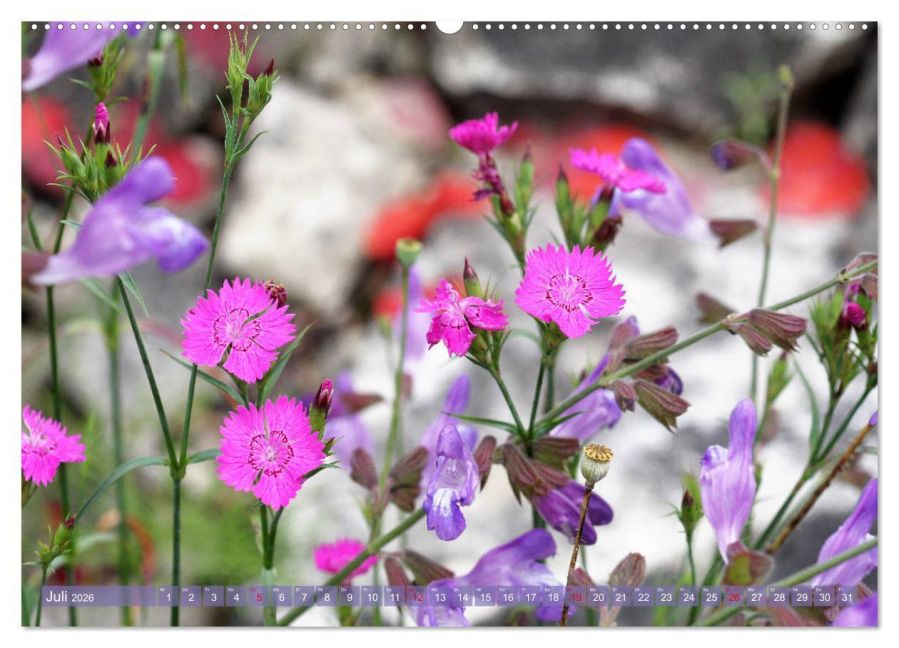 additionalImage11