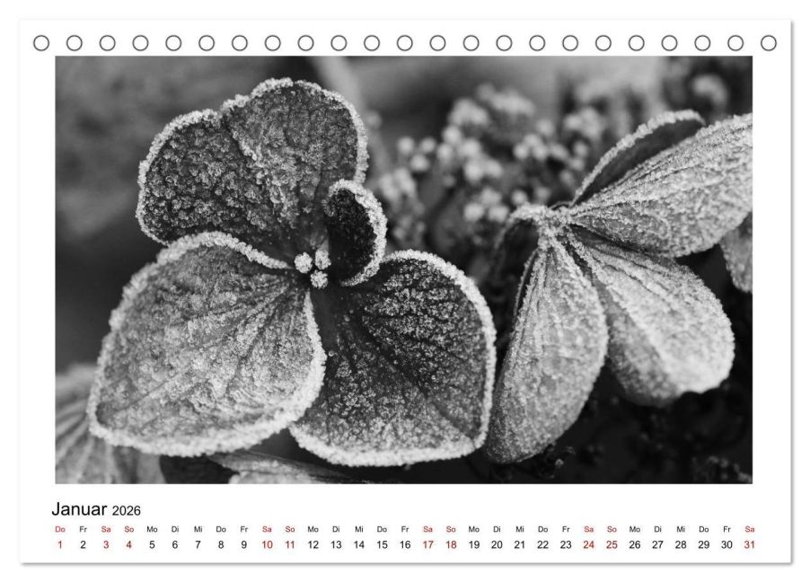 additionalImage6