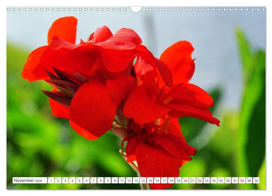 additionalImage3