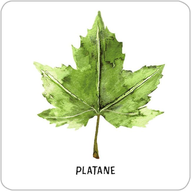 additionalImage5