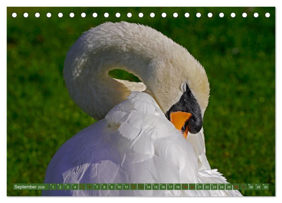 additionalImage14