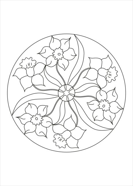 additionalImage3