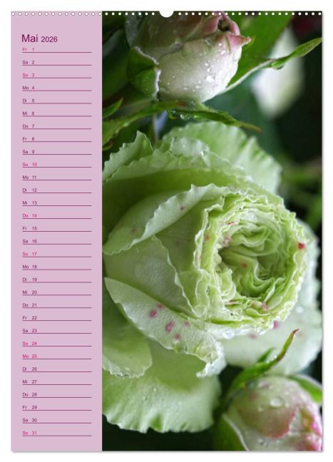 additionalImage10